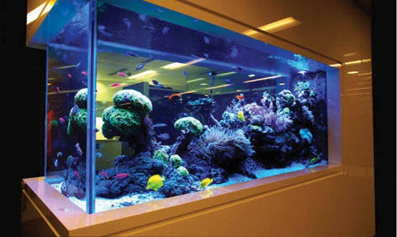 Acrylic Aquarium in China | Aquarium Chennai