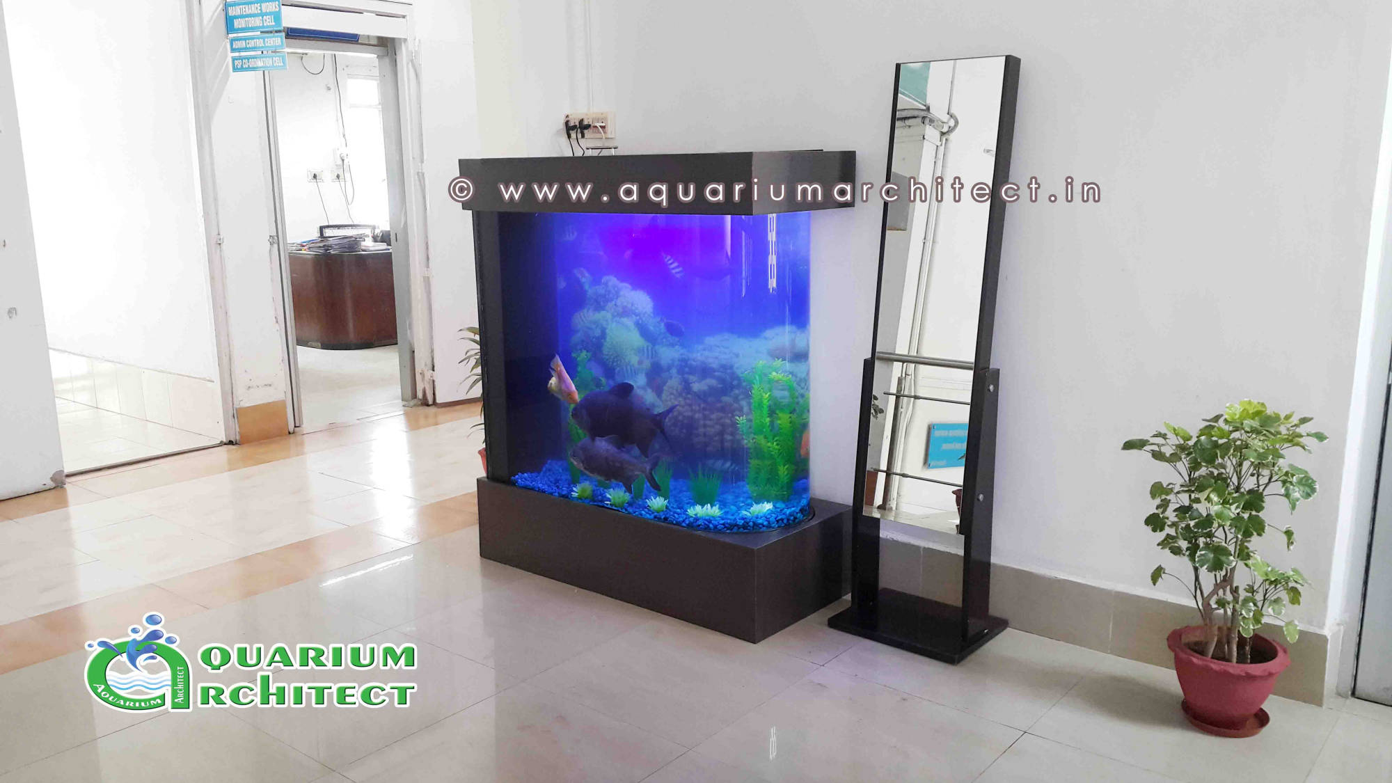 Imported Bullet Aquarium in China | Aquarium Chennai