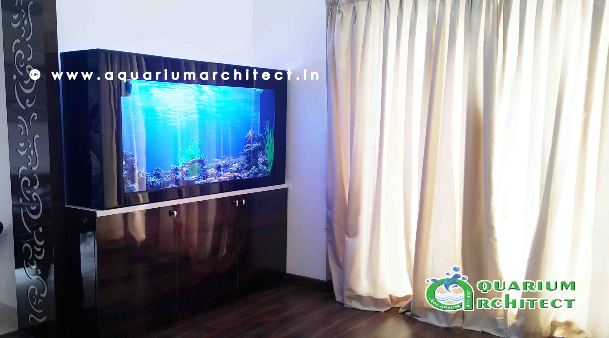 Customised aquarium | | Aquarium Architect | Aquarium Chennai | Aquarium in chennai | Designer aquarium in chennai | Custom Aquariums